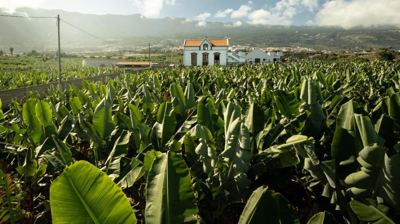 Hacienda Los Orovales بويرتو ذي لا كروز المظهر الخارجي الصورة