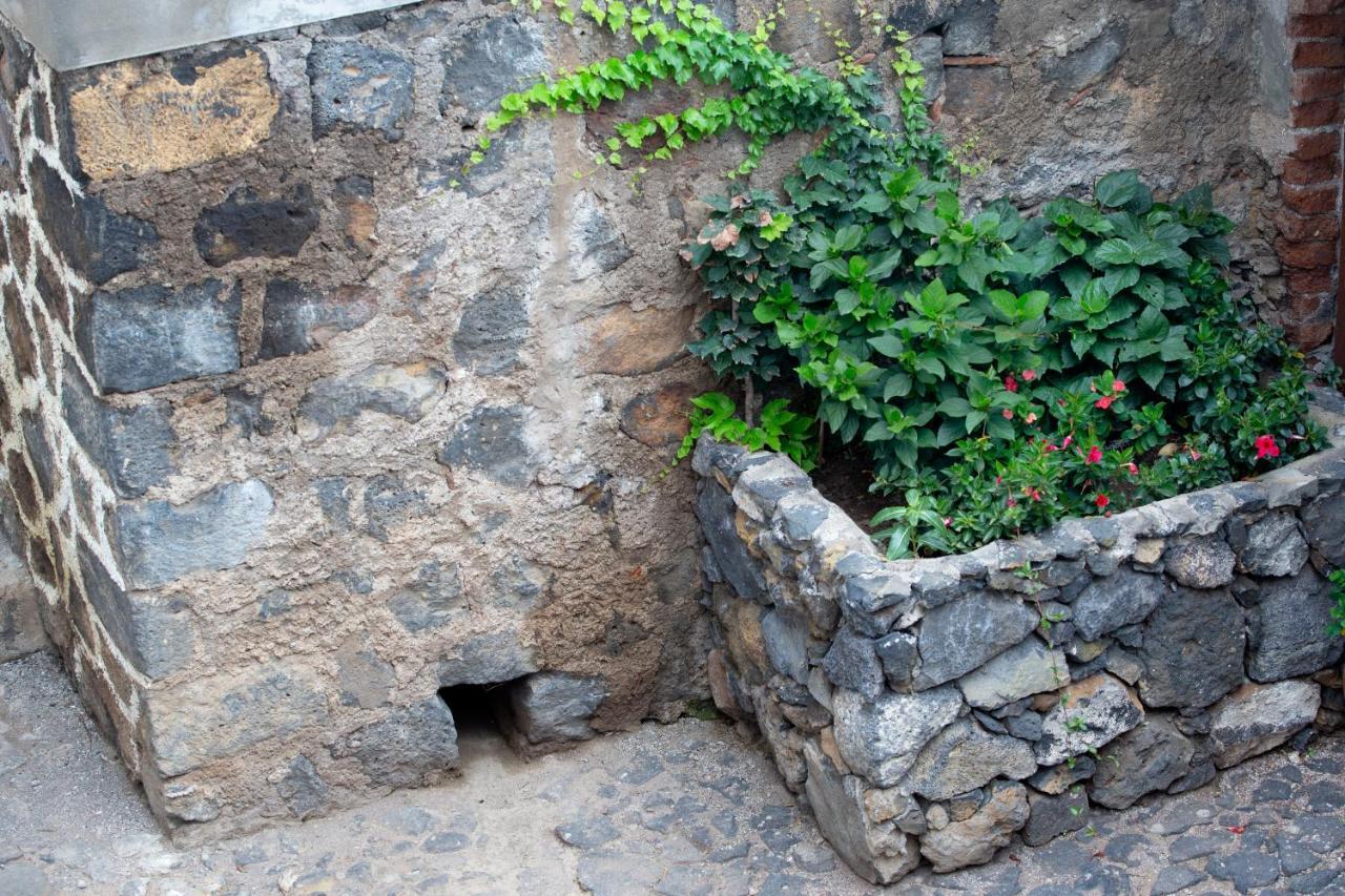 Hacienda Los Orovales بويرتو ذي لا كروز المظهر الخارجي الصورة